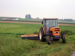 Lawn Maintenance Services